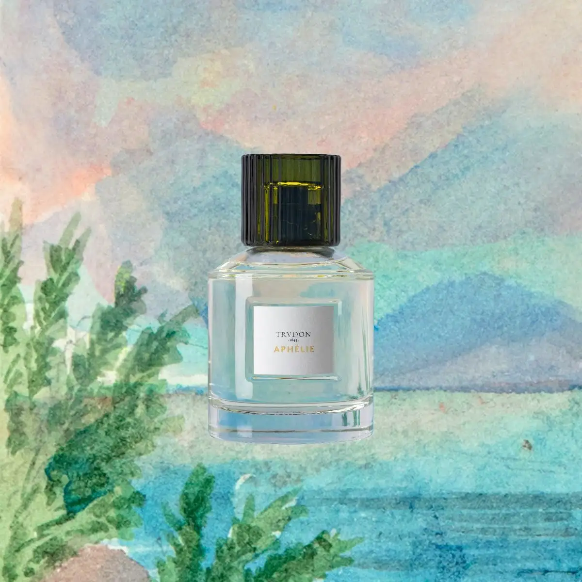 APHÉLIE - 100ml