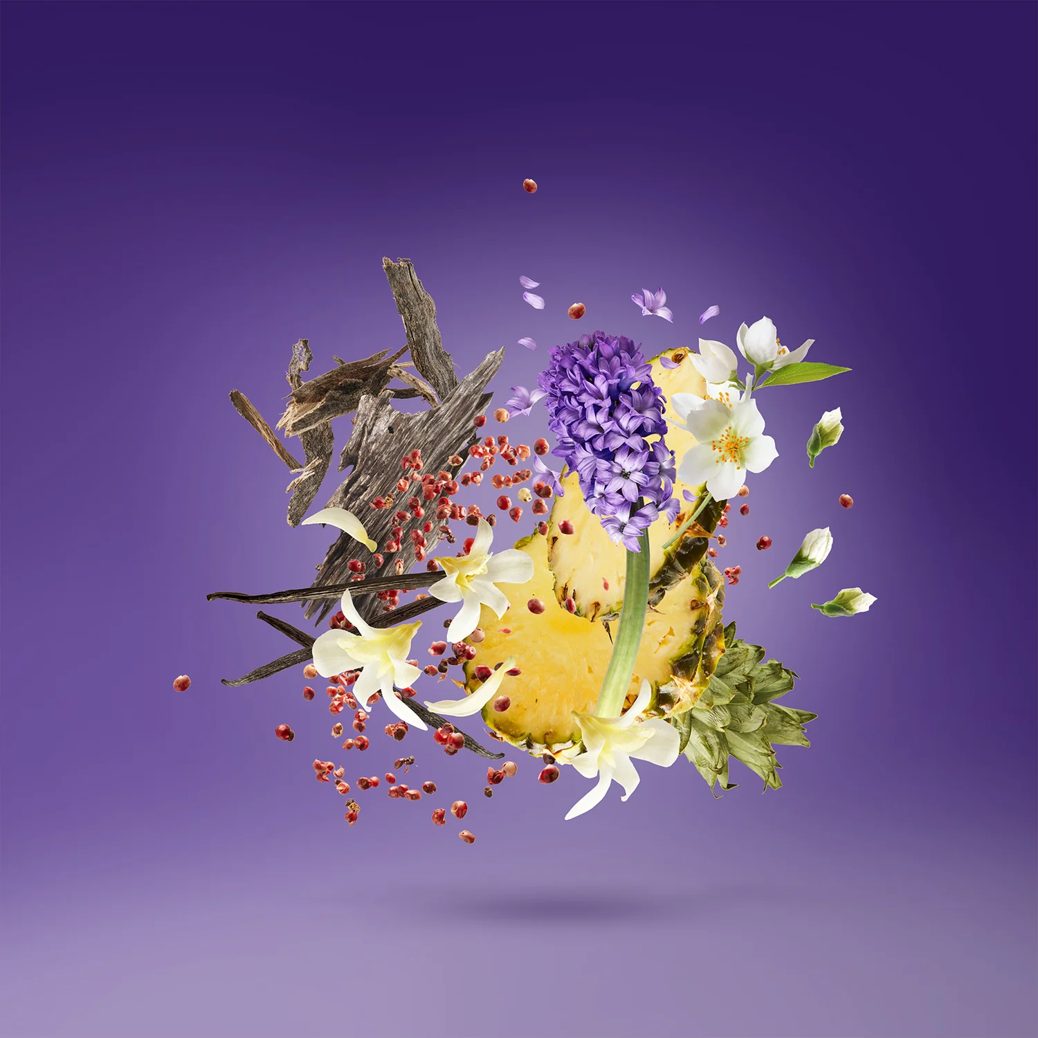 PURPLE ACCENTO - xerjoff-purpleaccento-notes.webp