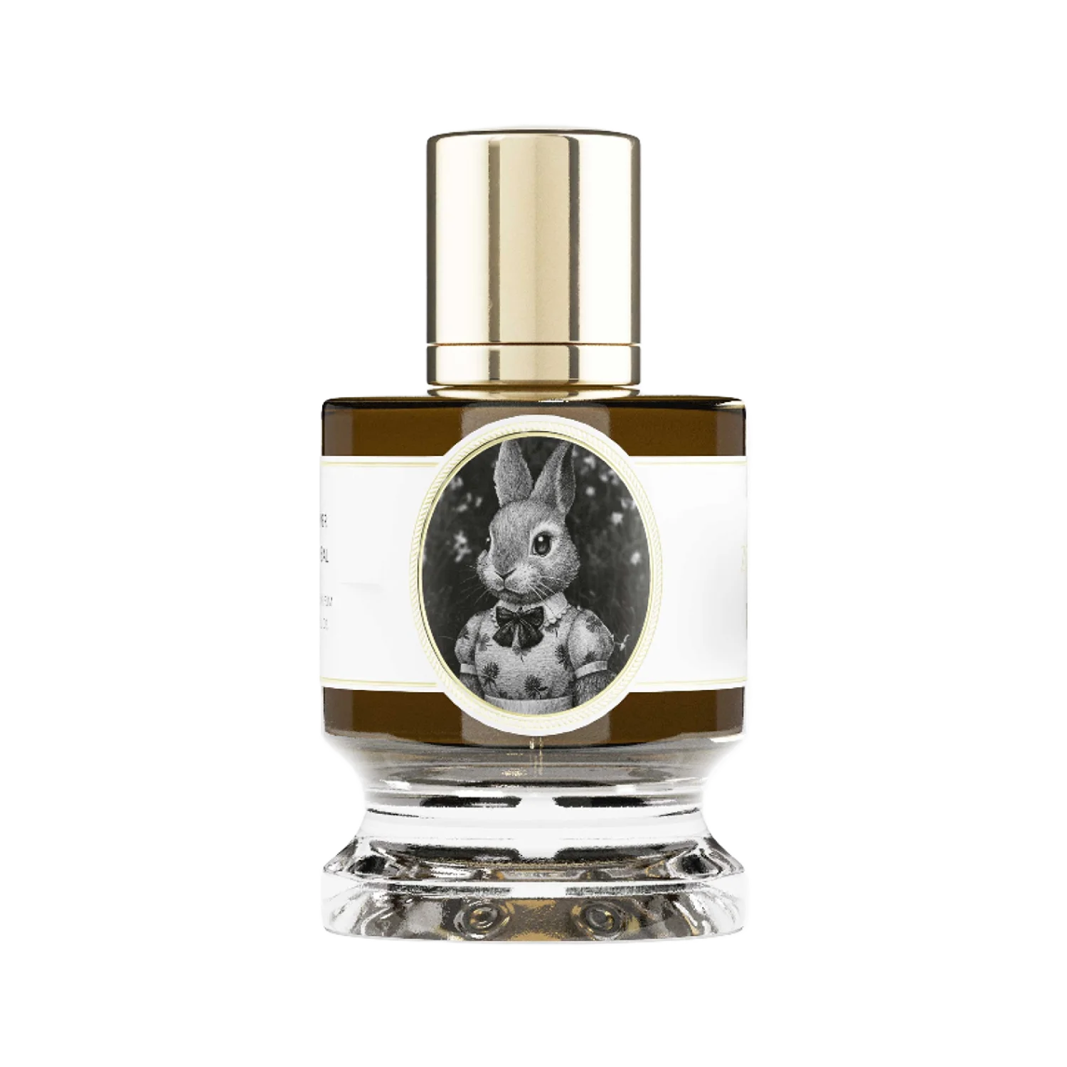 Rabbit - zoologist-rabbit-merged-2-1767192883330.png