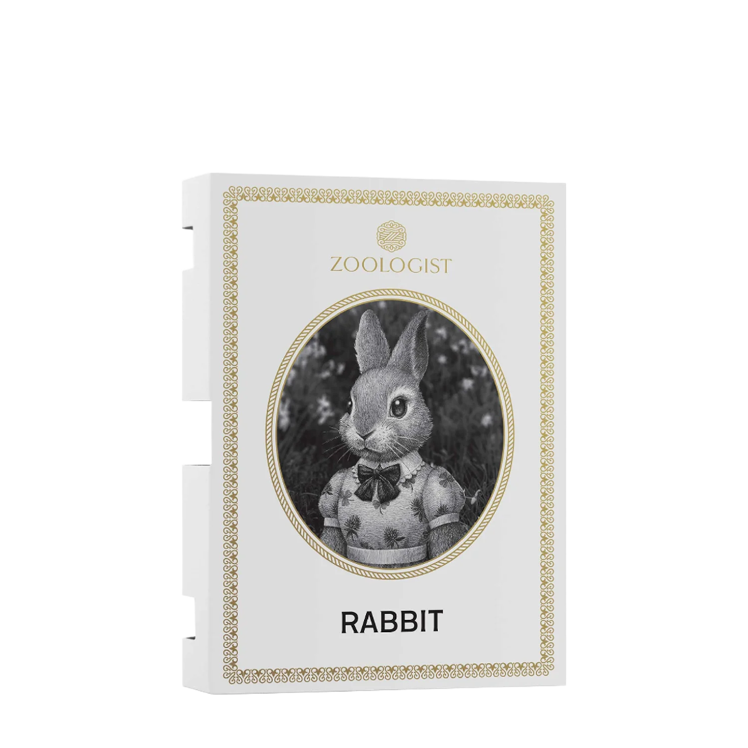 Rabbit - zoologist-rabbit-merged-5-1767193027161.png