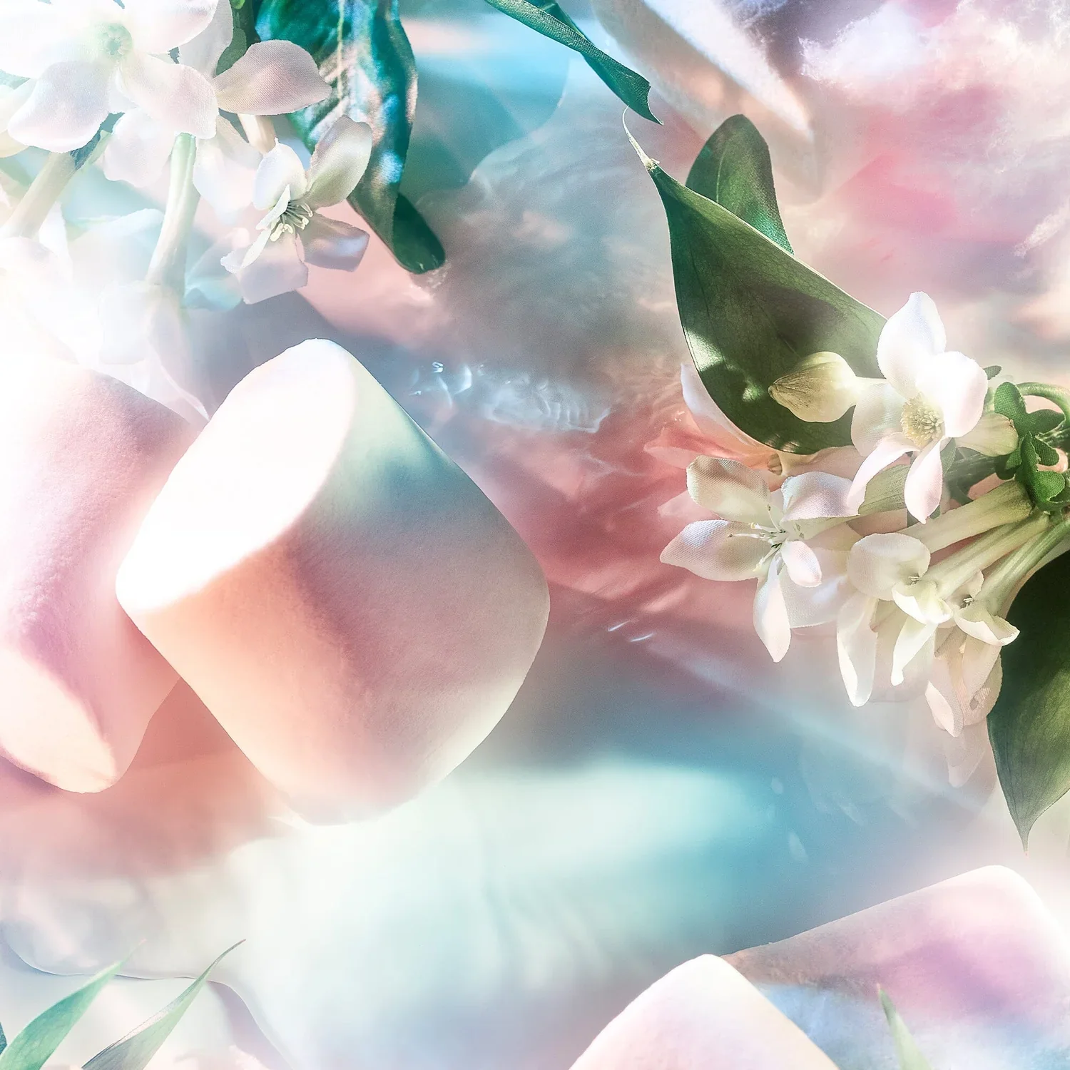 Reckless Pour Femme Eau De Parfum - reckless-pour-femme-essence-de-parfum-roja-parfums-958172.webp