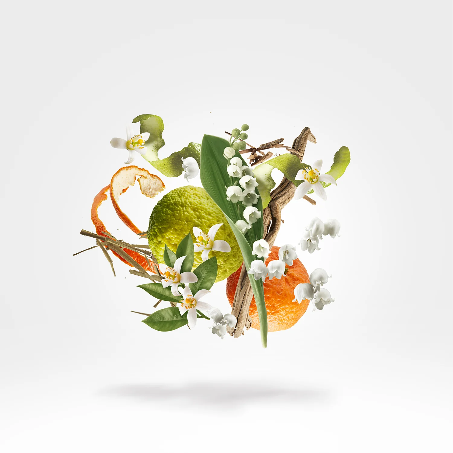 RENAISSANCE - xerjoff-renaissance-notes.webp