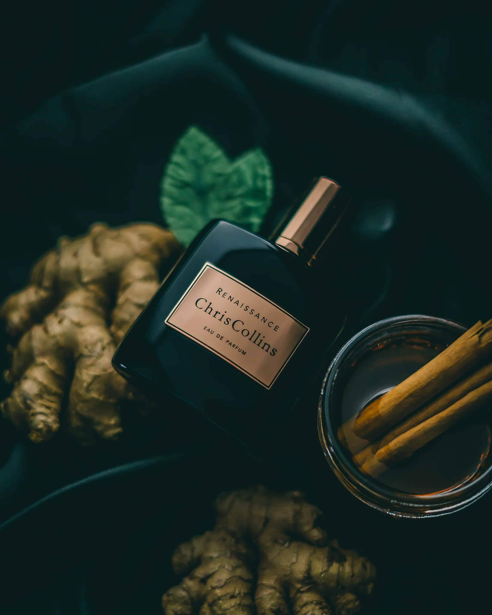 RENAISSANCE - DSC00323-16_1640x2048.webp