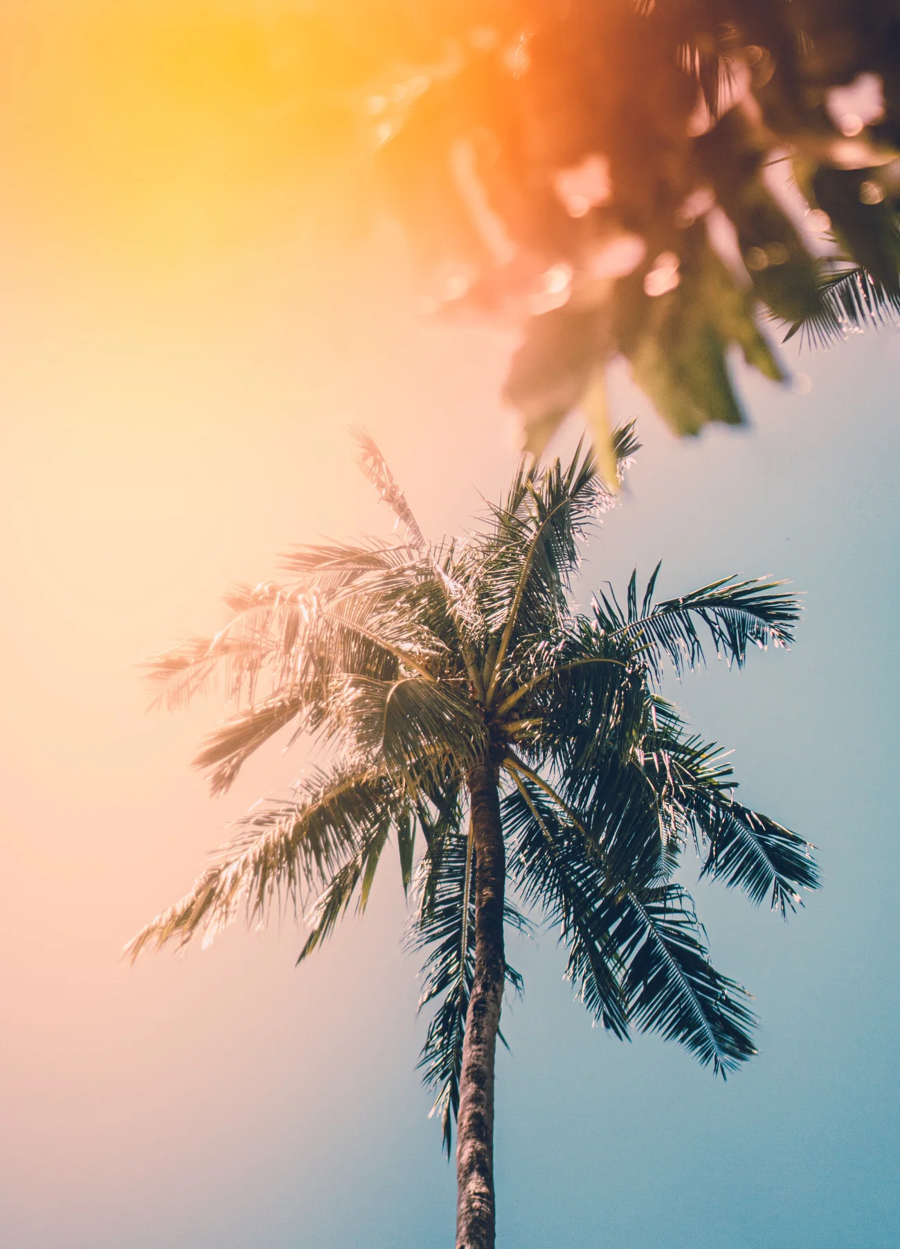 RISE - Designsanstitre_106_5000x.webp