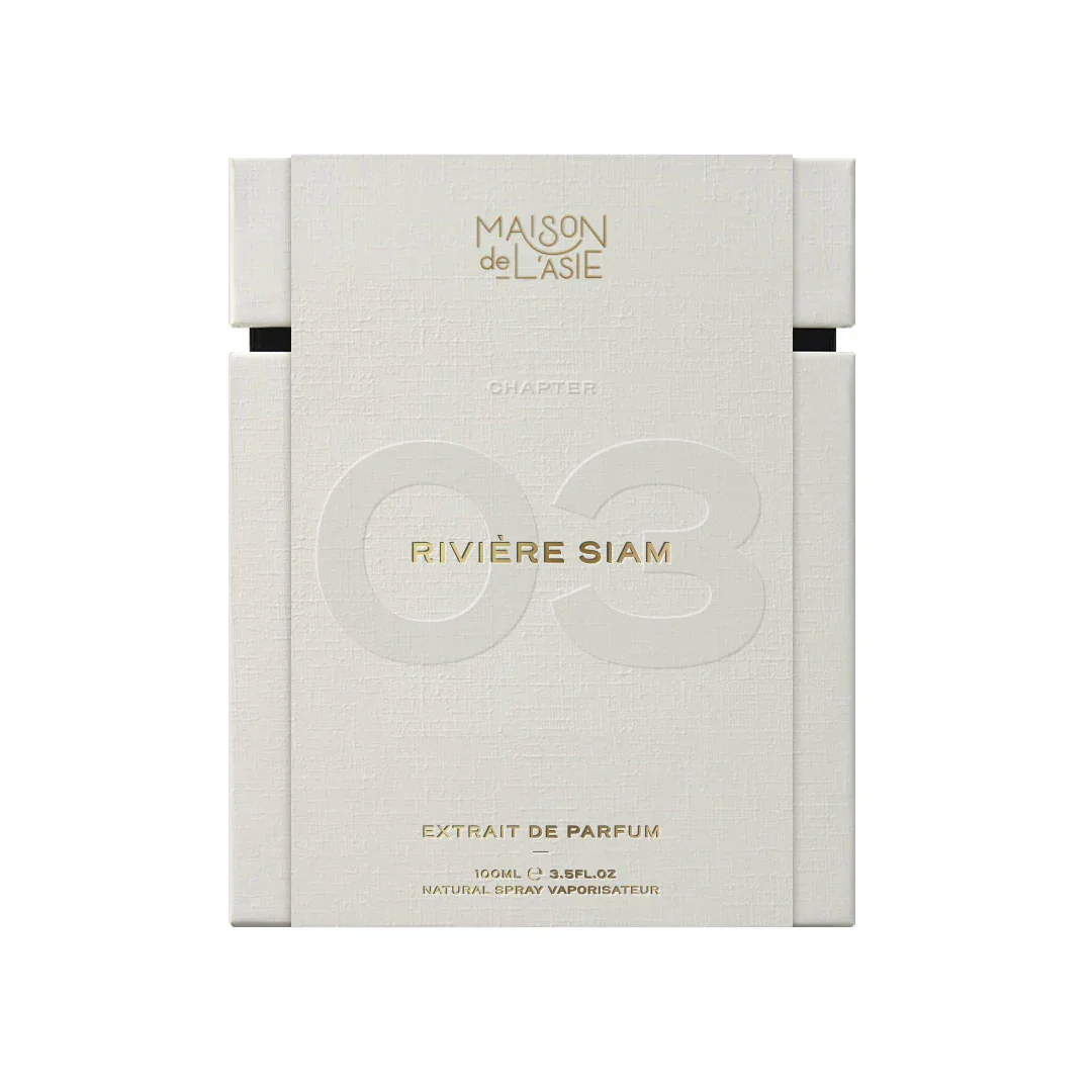 RIVIÈRE SIAM - CHAP03-2.webp