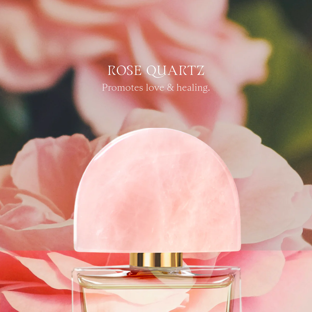 ROSARIO - ROSCap_1296x.webp