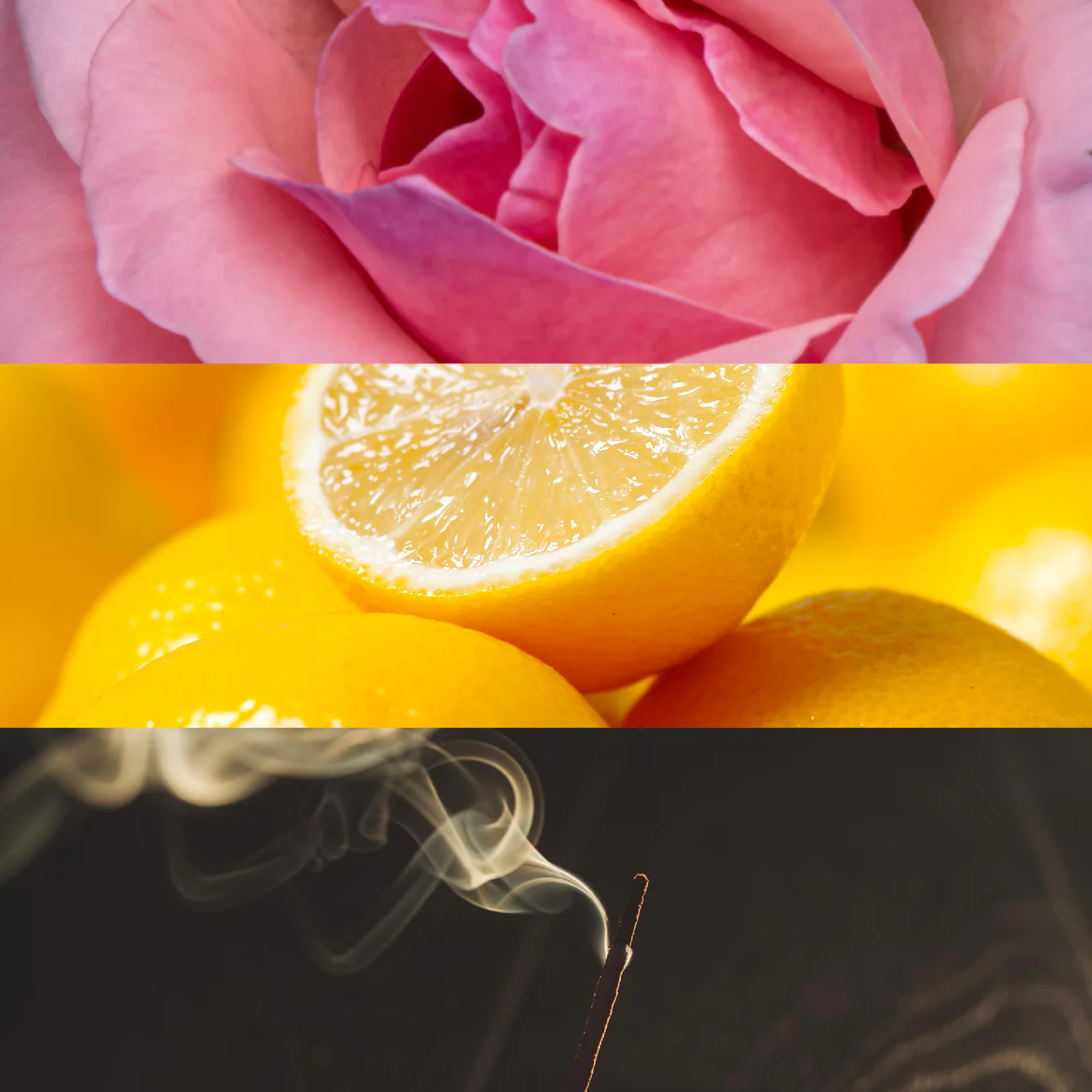 ROSARIO - ROSIngredients_1296x.webp