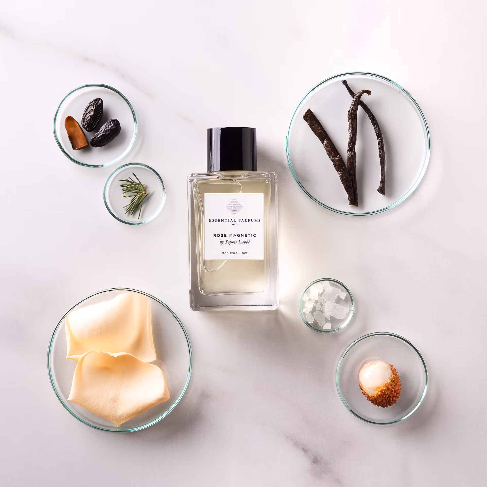 ROSE MAGNETIC - f26e51cc84971c2fab7d254f56f82ef7f7ab5172-4000x2666.avif
