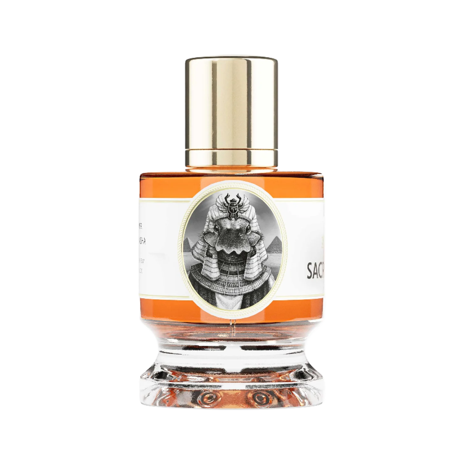 SACRED SCARAB - zoologist-sacred-scarab-merged-2-1767205918253.png