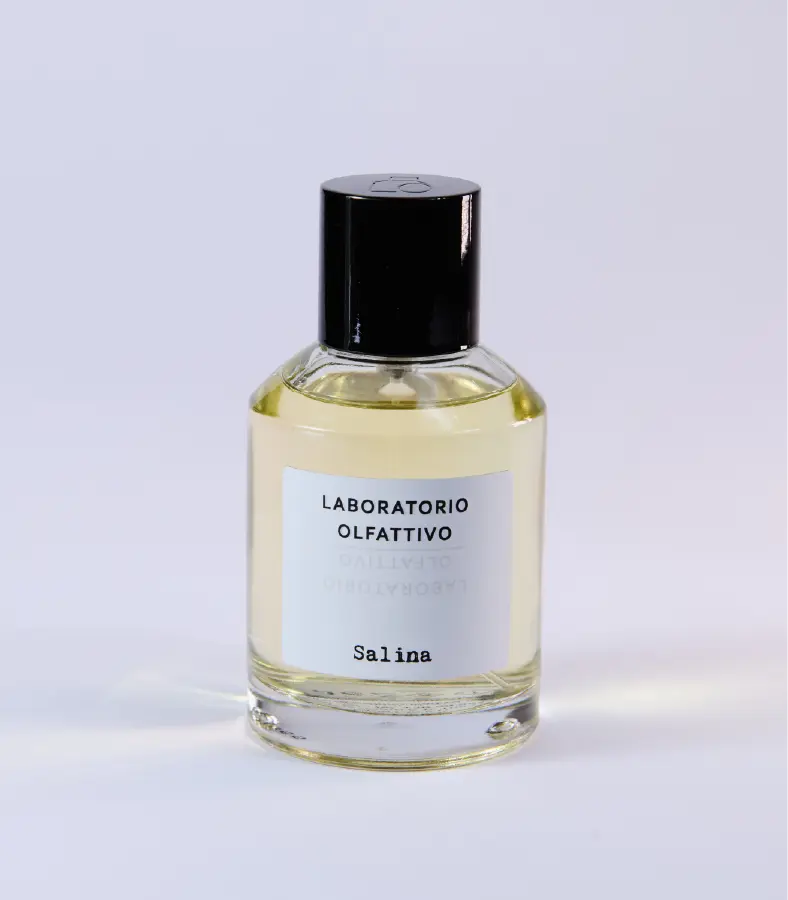 Salina - salina-100ml.webp