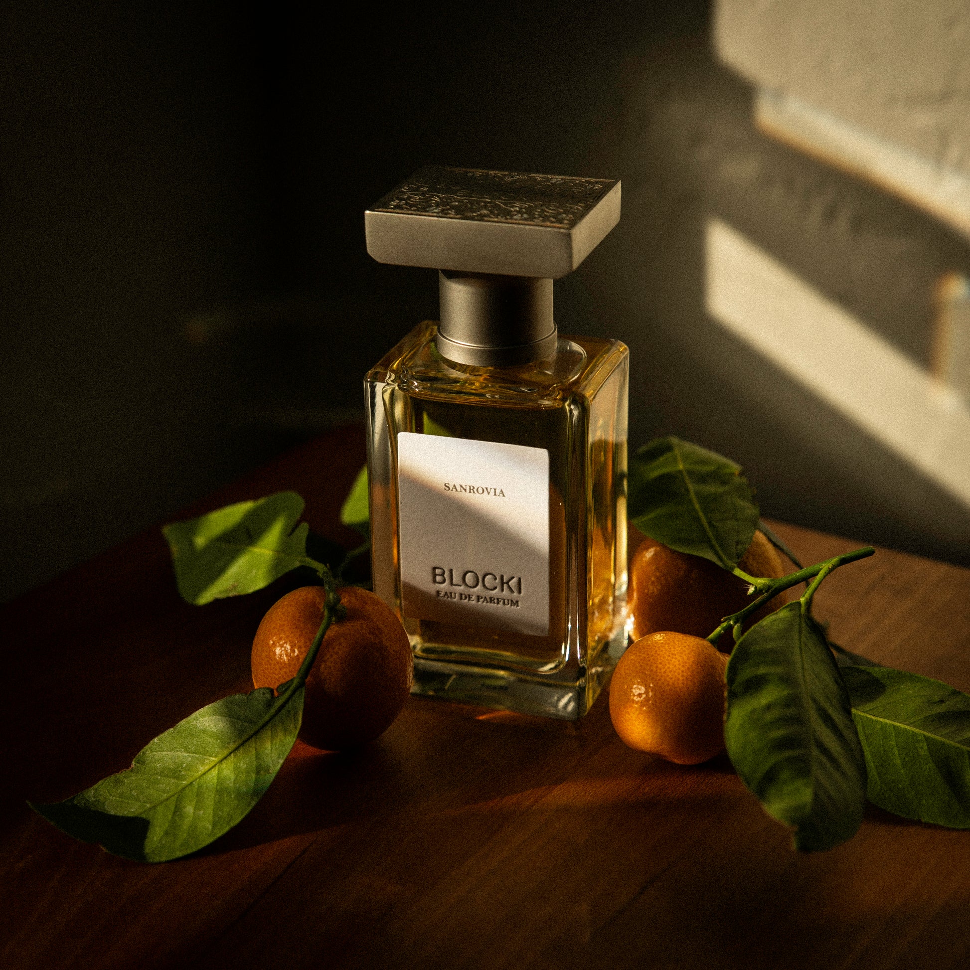 SANROVIA - Sanrovia.jpg