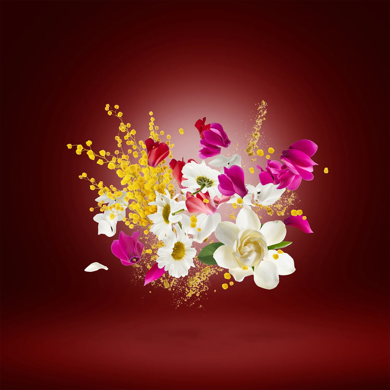 SAVE ME - xerjoff-saveme-notes.webp