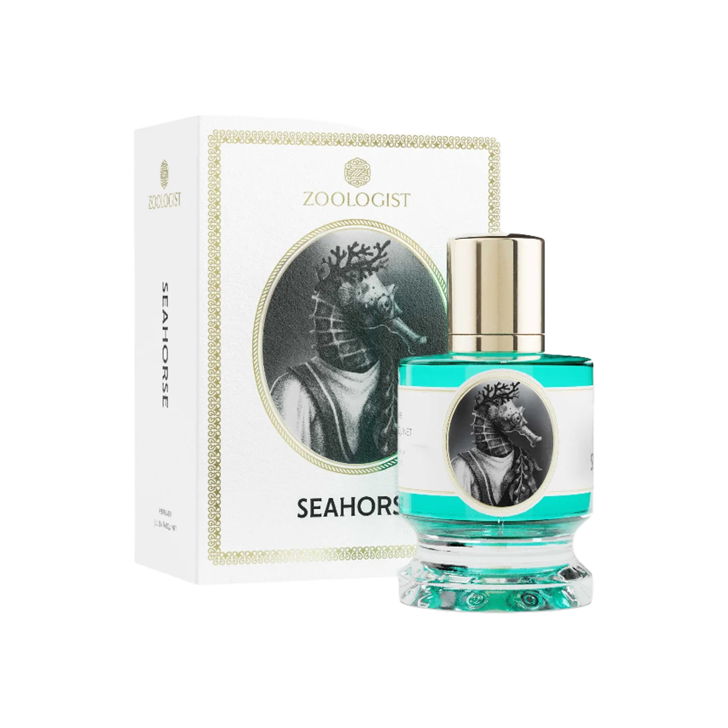 SEAHORSE - zoologist-seahorse-merged-2-1767210435227.png