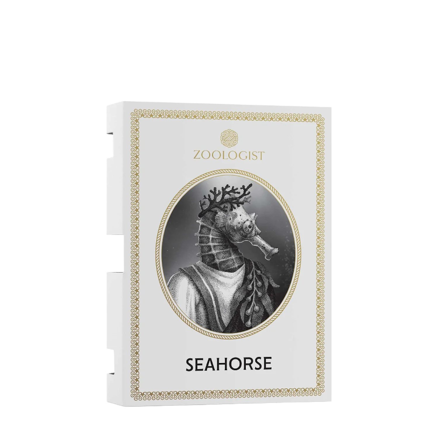 SEAHORSE - zoologist-seahorse-merged-3-1767210463440.png
