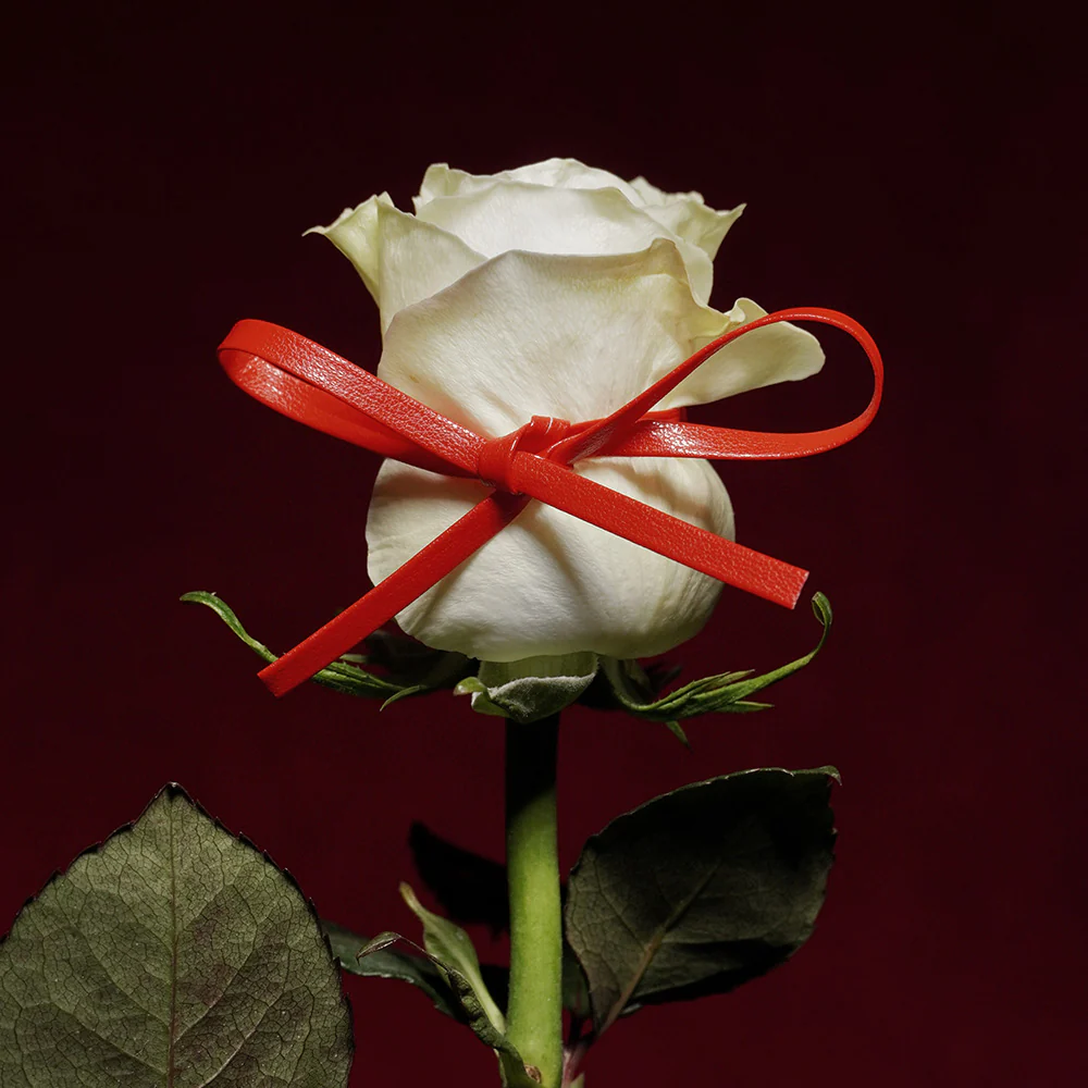 SIN & PLEASURE - grid03_091f26c9-6186-43c6-a105-19ba07b77acc.webp