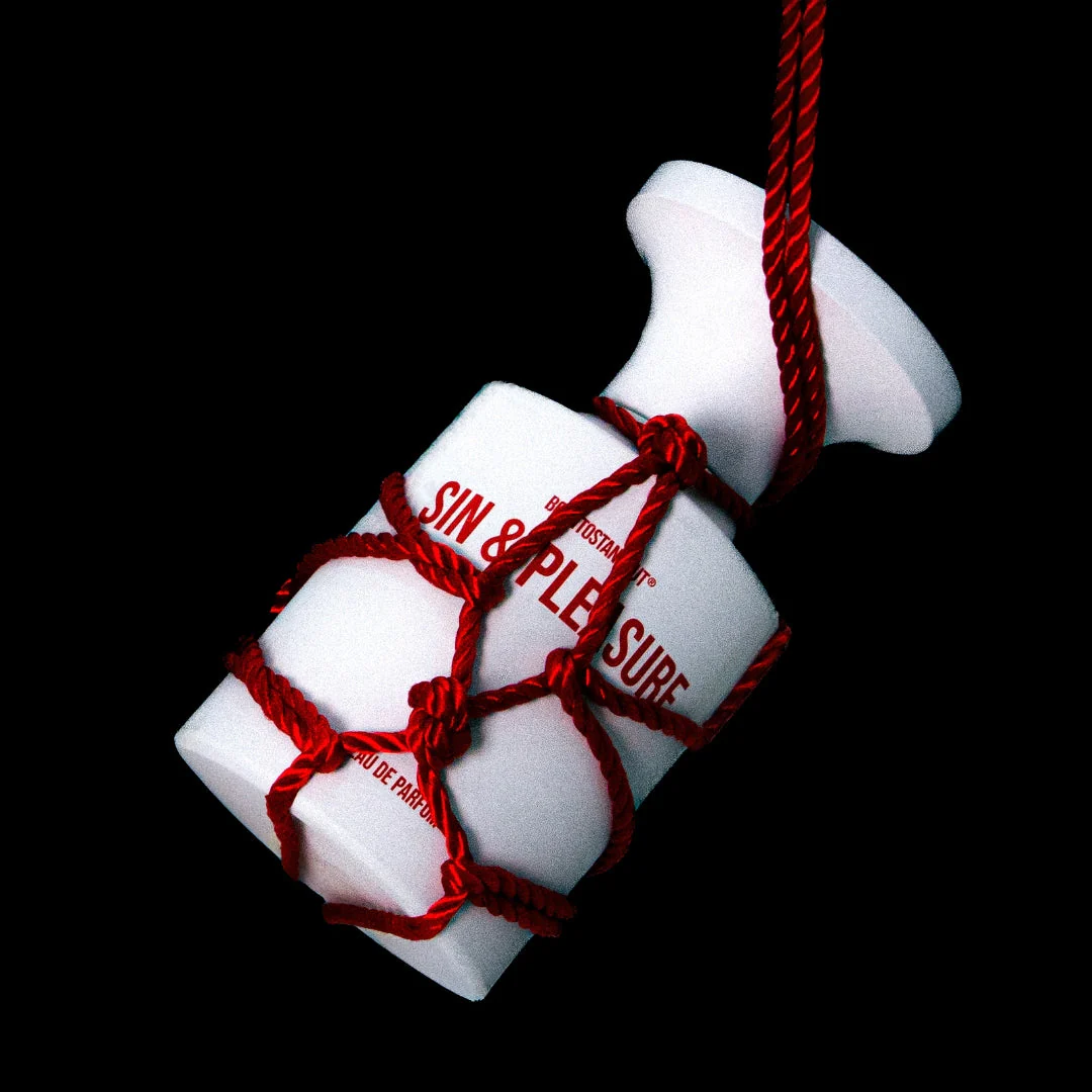 SIN & PLEASURE - SIN_PLEASURE_BY_BORNTOSTANDOUT-BTSO-MOOD_4816caa7-9dbb-4a1a-9d00-dce011707e7e_1080x.webp