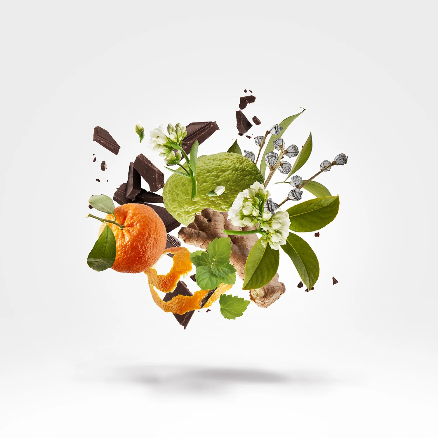 SIXTH FLOOR - xerjoff-sixthfloor-notes.webp