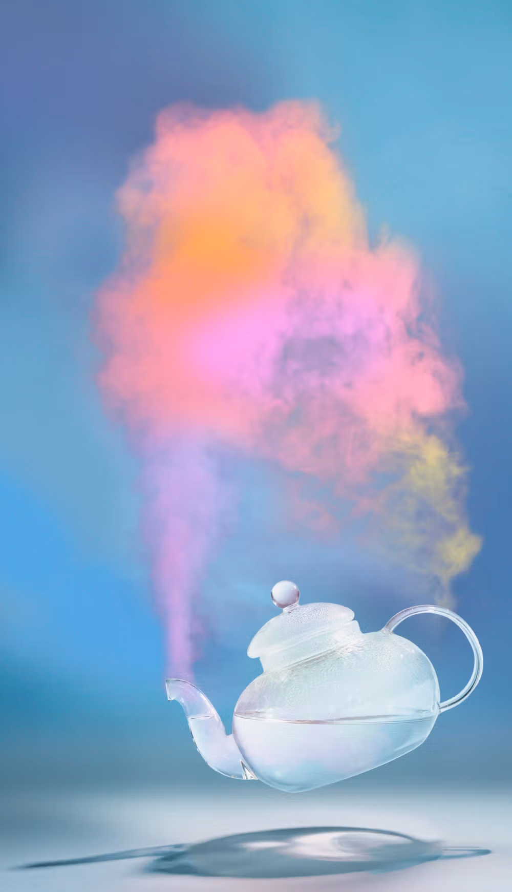 STEAMED RAINBOW - 27053e587bc341489538d4dba66e2eef73aaf4ae-1482x2580.avif