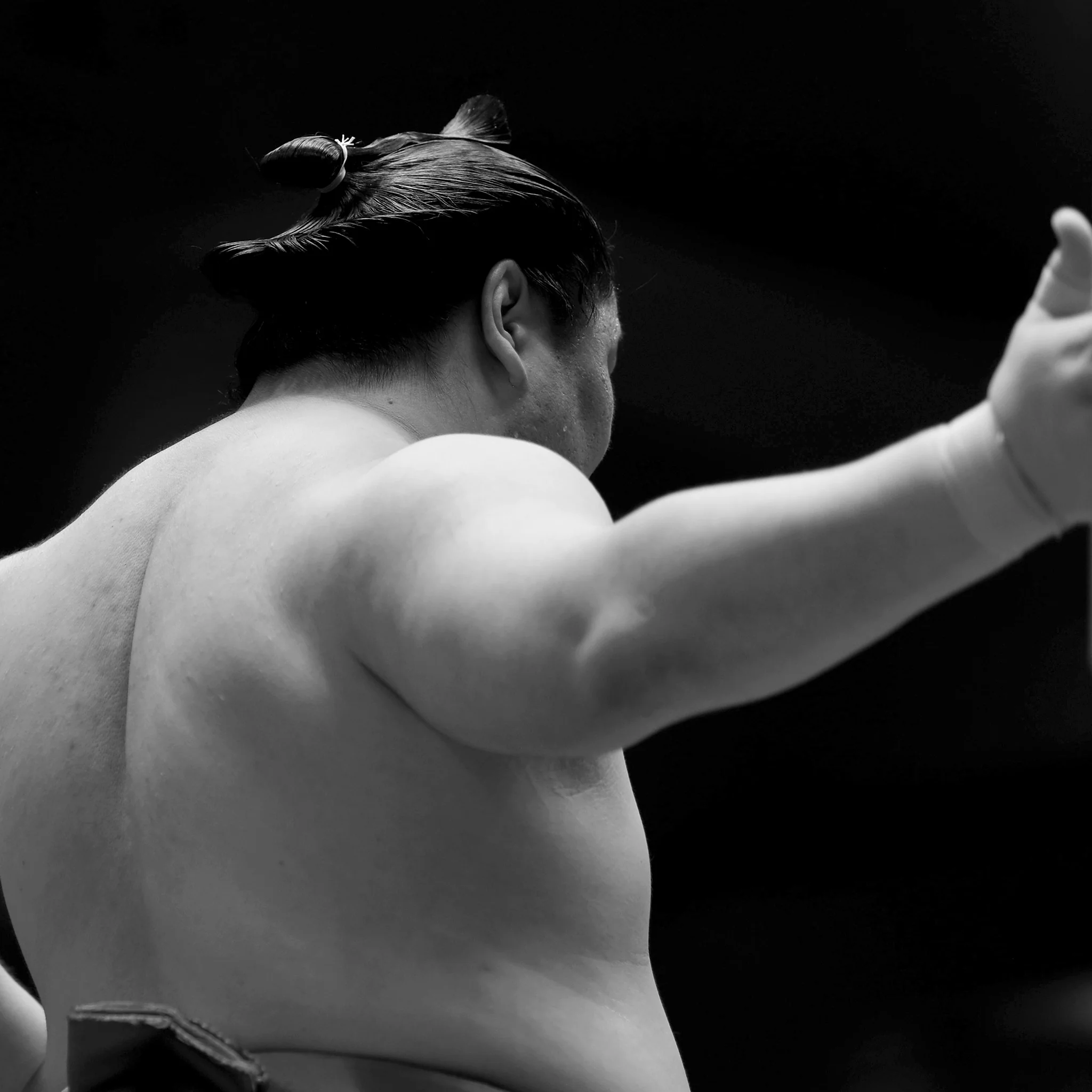 SUMO WRESTLER - sumowrestler-02_2048x.webp