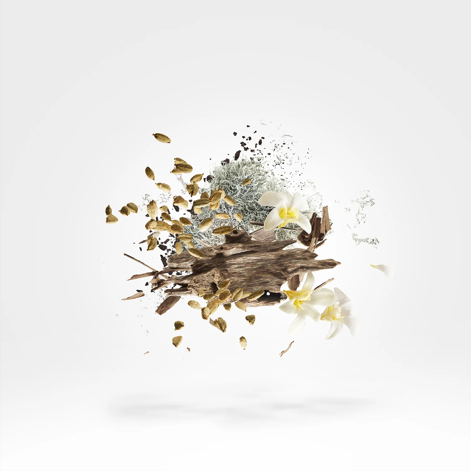 SYMPHONIUM - xerjoff-symphonium-notes.webp