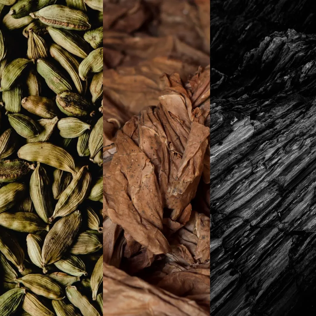 T. HABANERO - 30.jpg