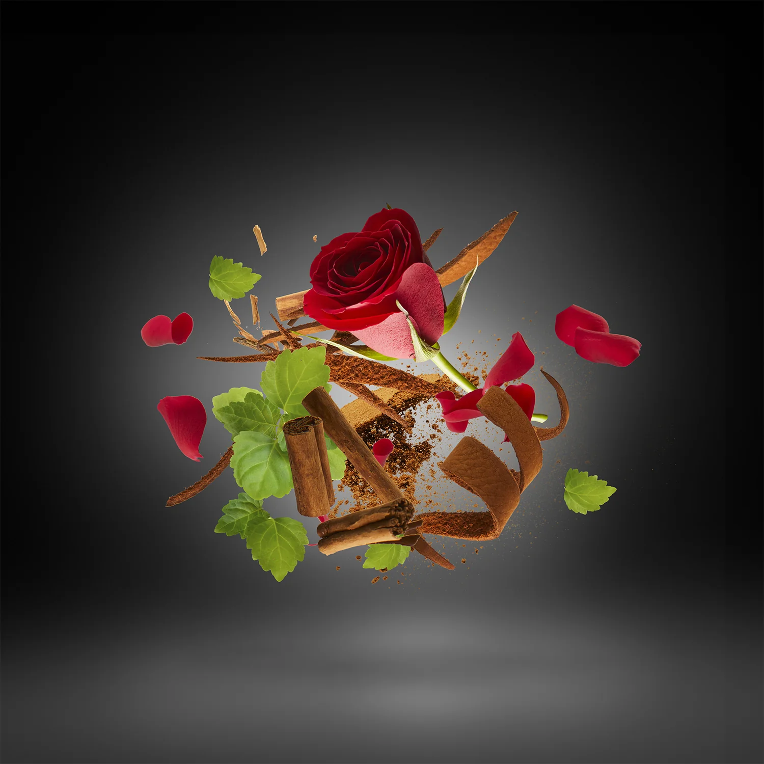 TONY IOMMI DEIFIED - xerjoff-deified-notes.webp