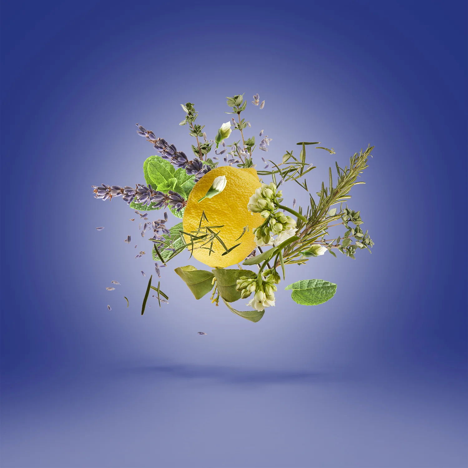 TORINO21 - xerjoff-torino21-notes.webp