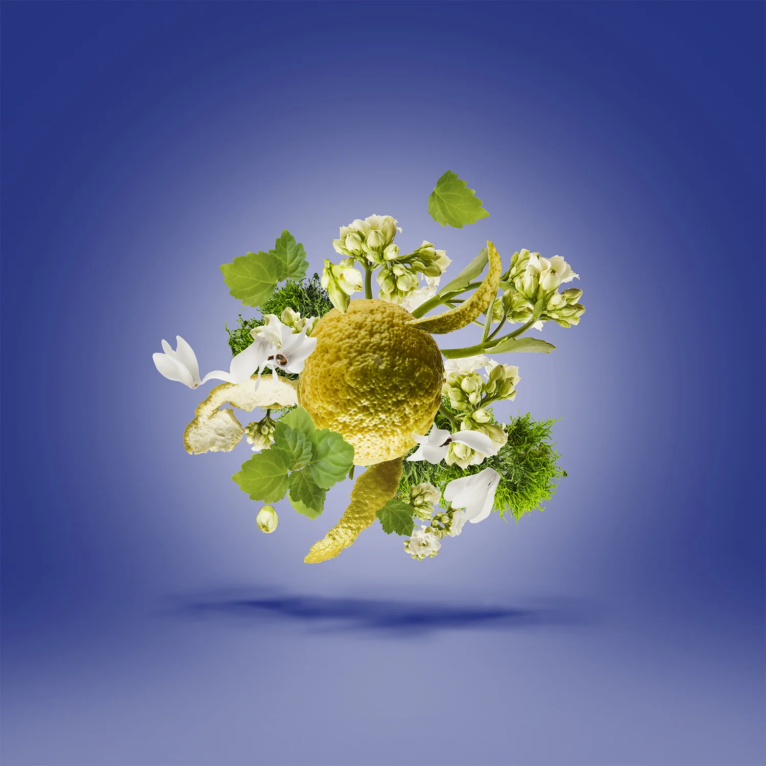 TORINO23 - xerjoff-torino23-notes.webp