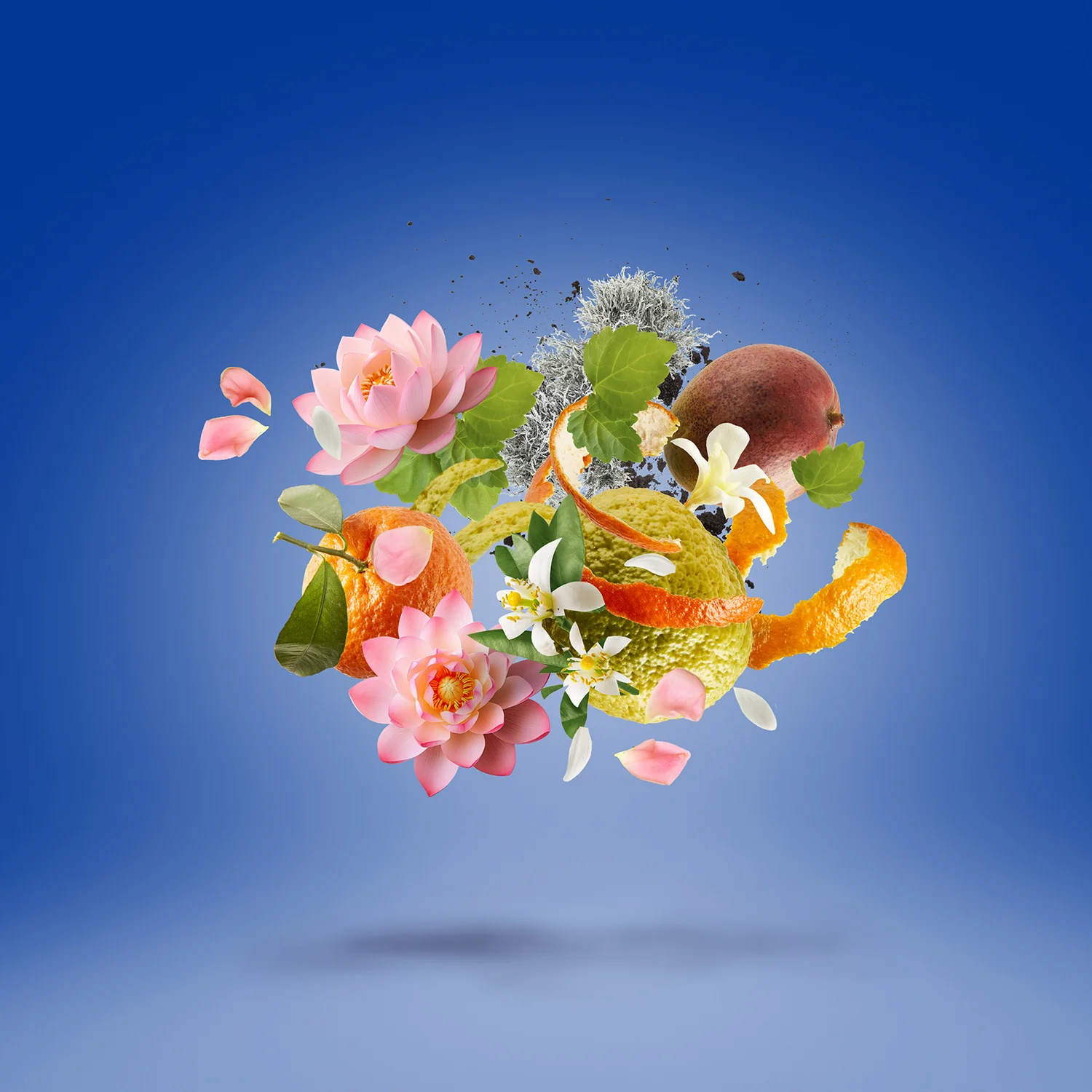 TORINO24 - xerjoff-torino24-notes.webp