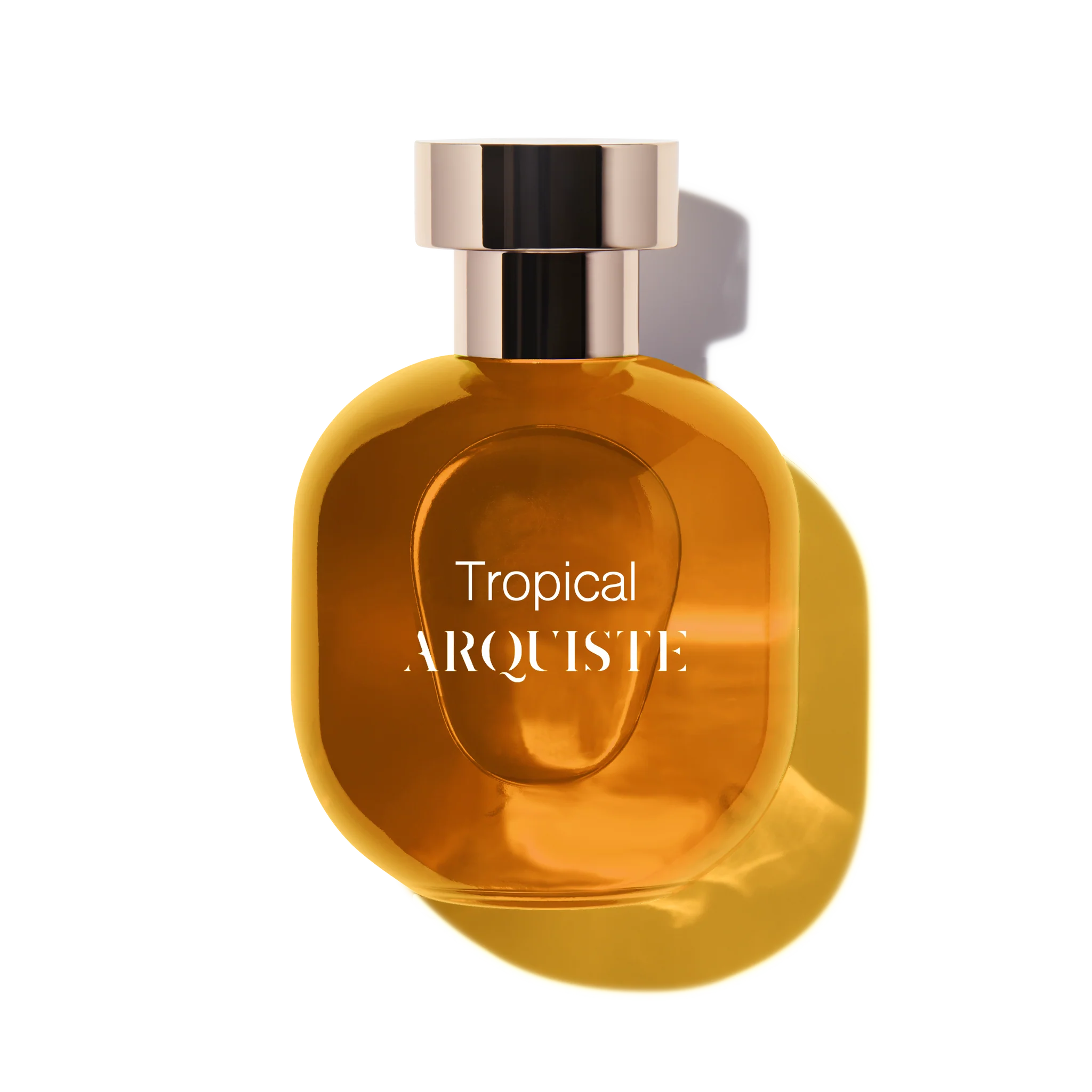 TROPICAL - ARQUISTE_TROPICAL_3801100_1024x1024@2x.webp