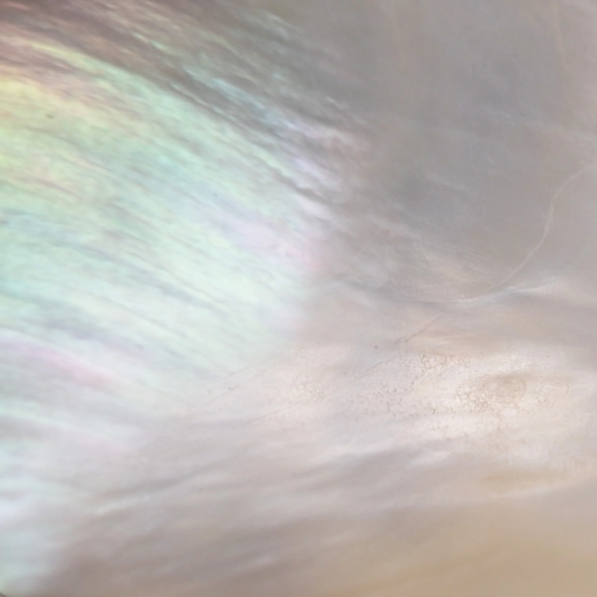 TSUKISHIZUKU (MOTHER OF PEARL) - tsukishizuku-02_2048x.webp