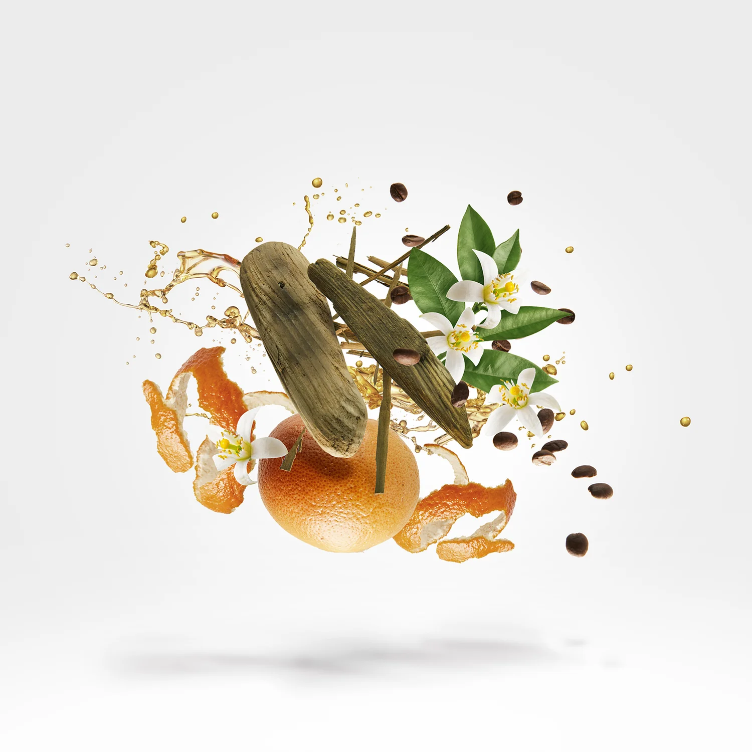 UDEN - xerjoff-uden-notes.webp