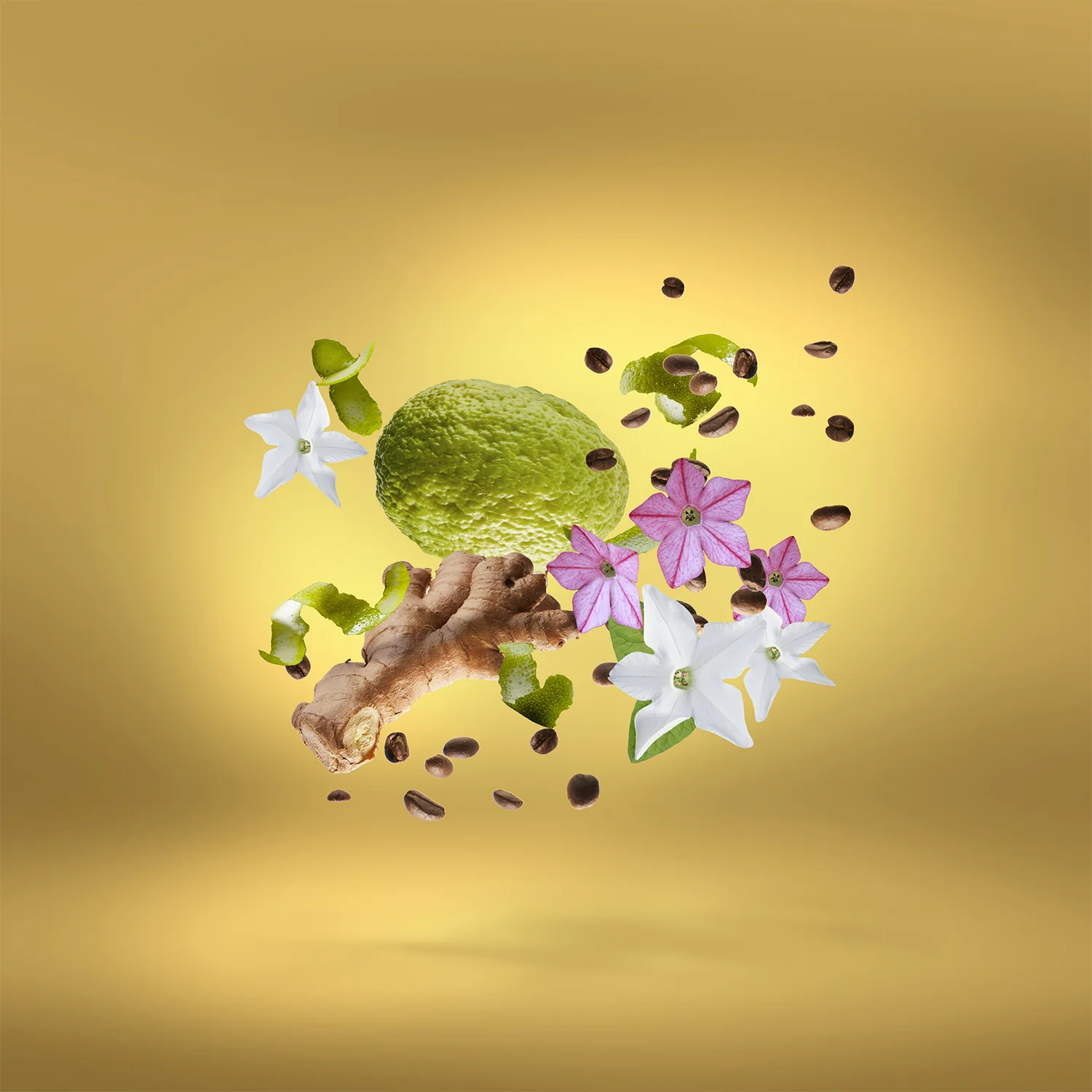 UDEN OVERDOSE - xerjoff-udenoverdose-notes.webp