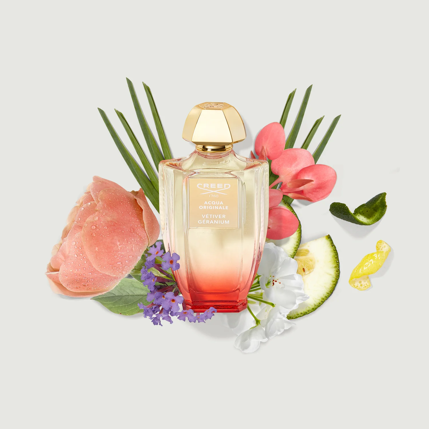 Vétiver Géranium - vetiver-geranium-ingredients.webp