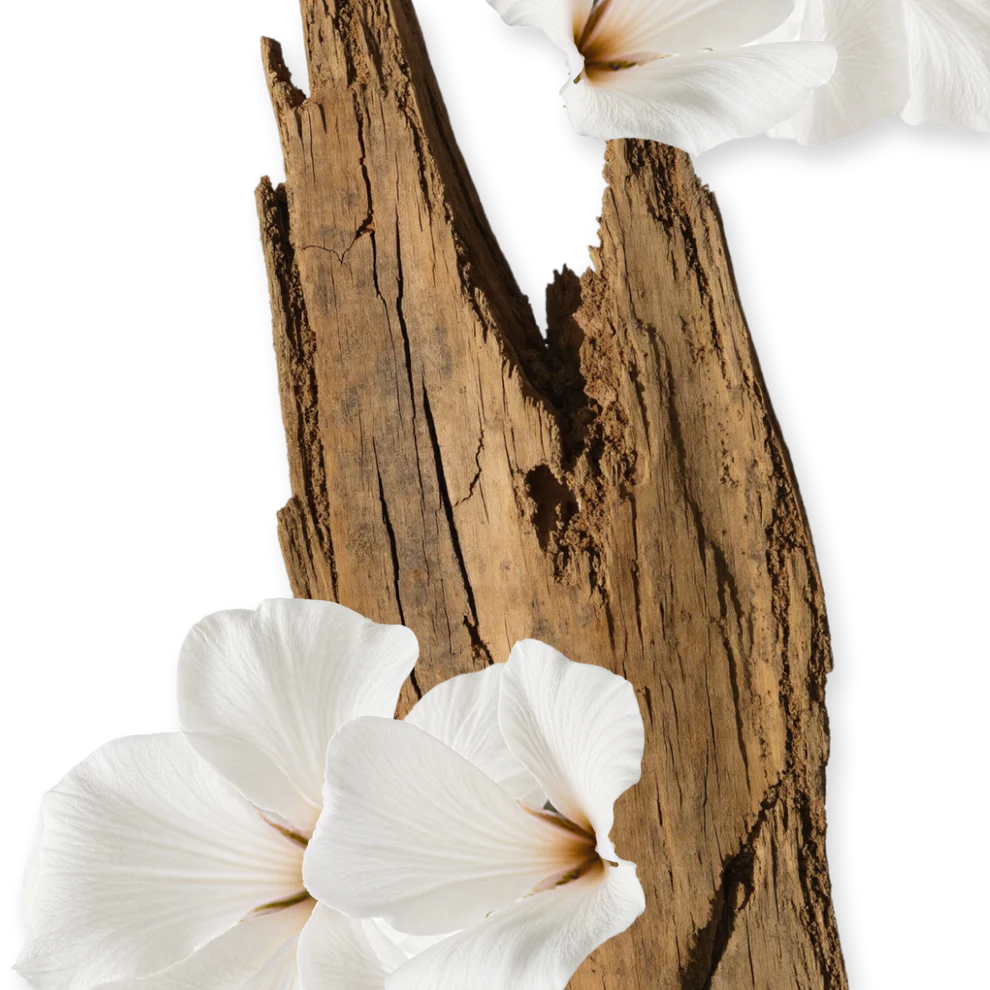 VALAYA - VALAYA-PERFUME-75-PACK4-1x1_1_9fcc7aac-cd11-406e-96ce-463647fe8245.webp