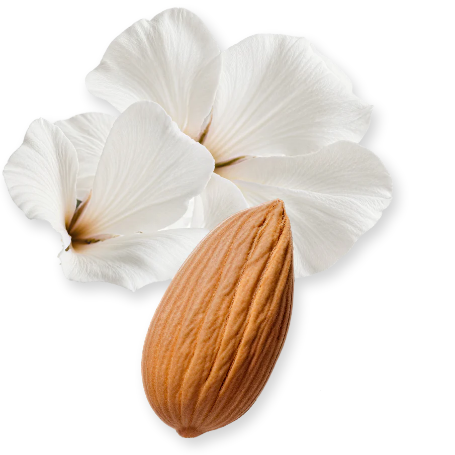 VALAYA EXCLUSIF - VALAYA_EXCLU-PERFUME-75-PACK4-1x1_1_146be9b9-0a34-4732-8bf0-9de8e641ed47.webp