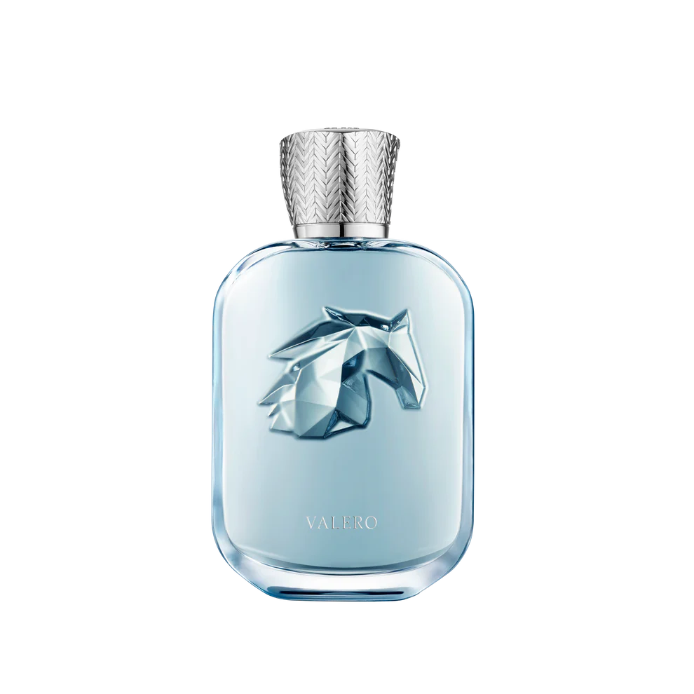 VALERO - Packshot_Valero_face_avec_ombre_1x1_0236746e-ca6c-47ca-a93b-7e41579a4923.webp