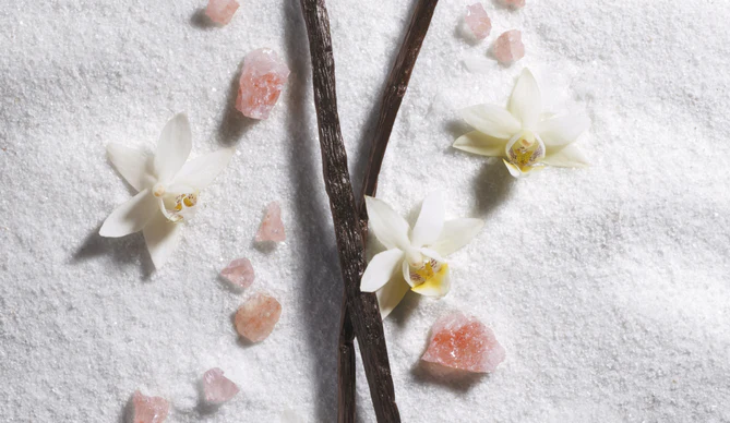 Vanilla Vibes - 2024_07_VANILLA_VIBES_VISUAL_1000x580_01.webp