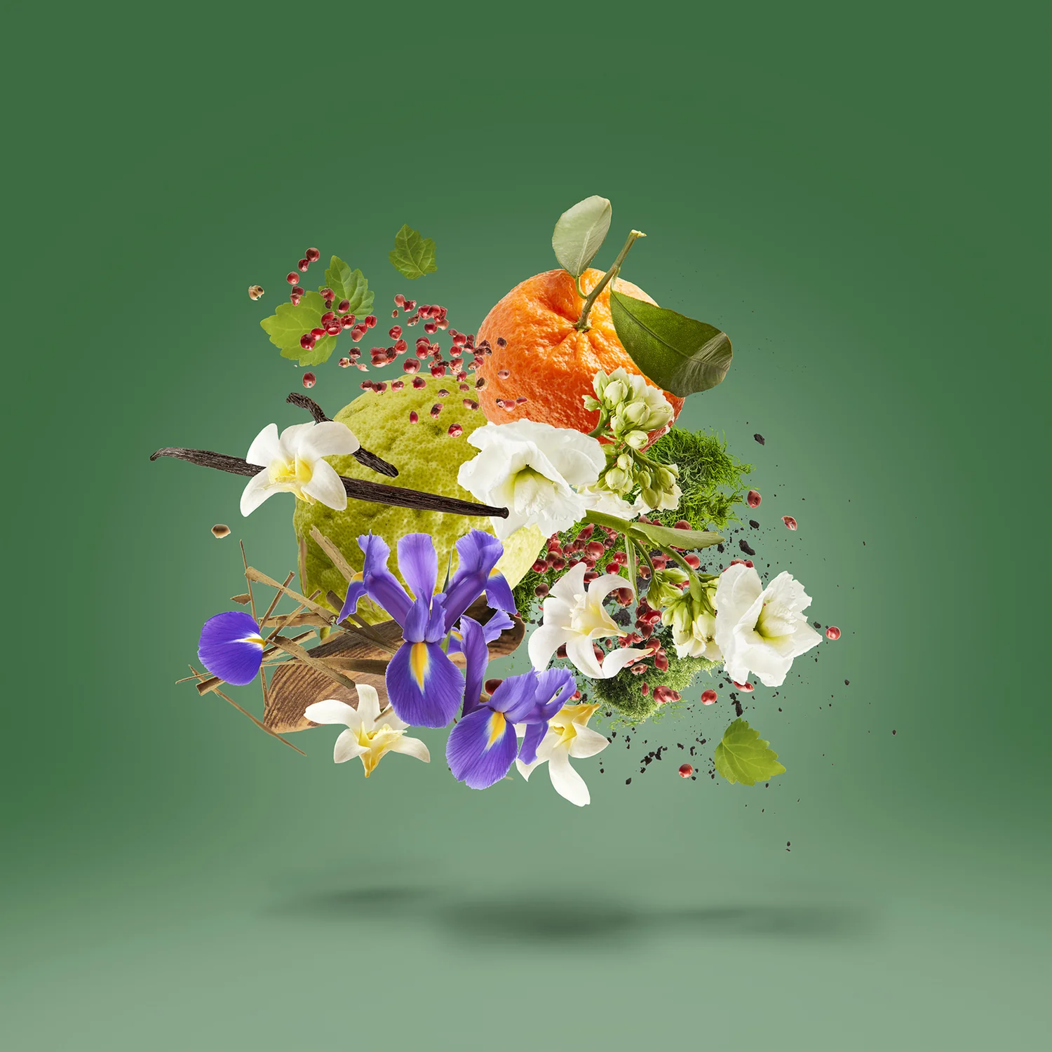 VERDE ACCENTO - xerjoff-verdeaccento-notes.webp