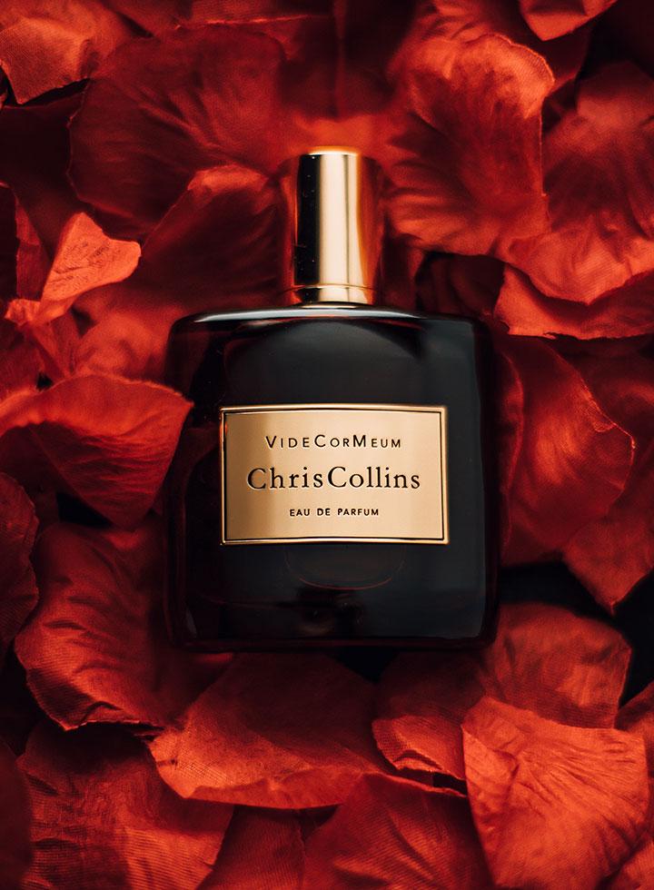 VIDE COR MEUM - image_04b97e89-47fe-400c-9de7-01e46a0c9547_1080x.jpg