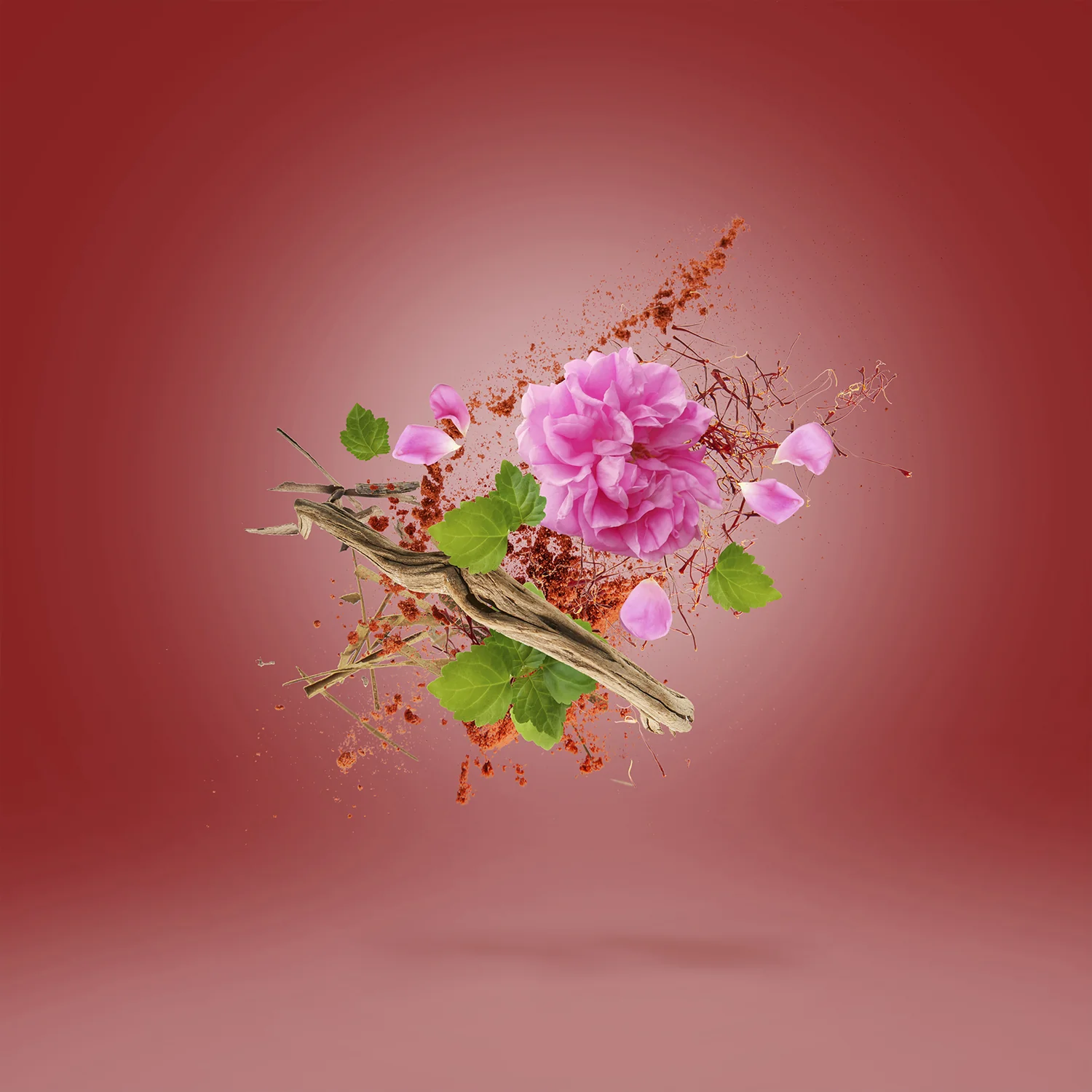 WARDASINA - xerjoff-wardasina-notes.webp