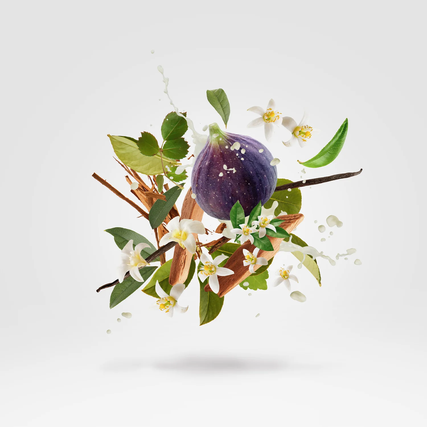 WHITE ON WHITE - xerjoff-whiteonwhite-notes.webp