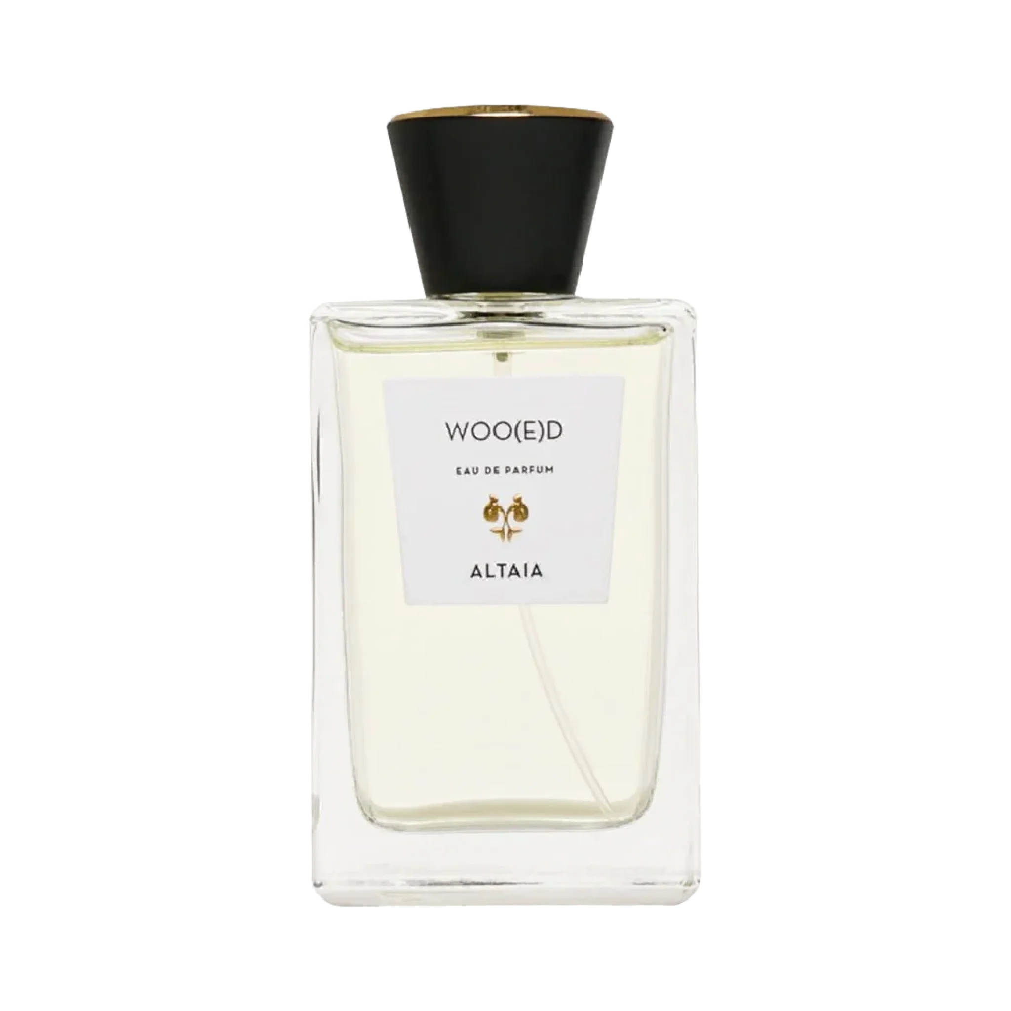 Woo(e)d - 51976-min.webp