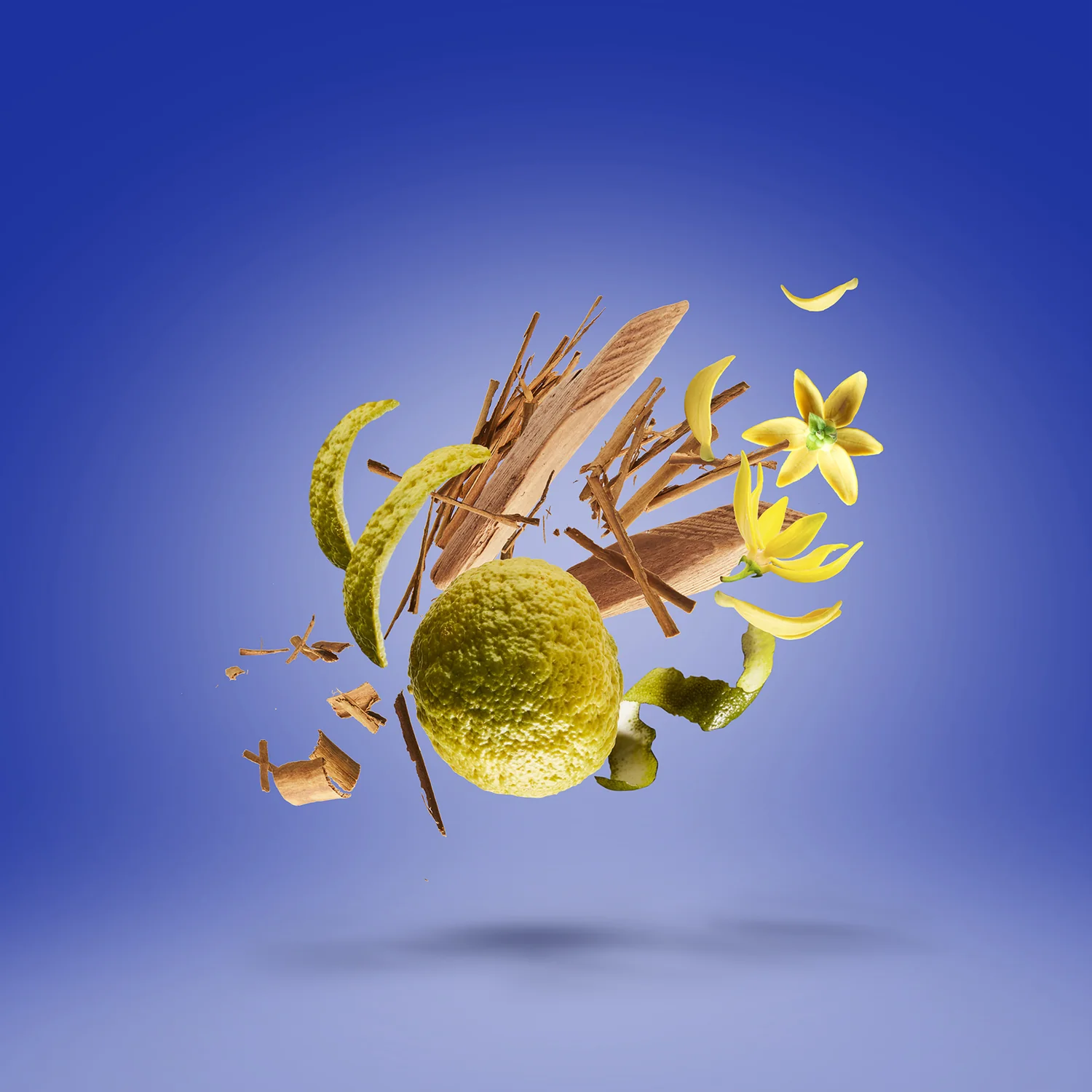 XXY - xerjoff-xxy-notes.webp