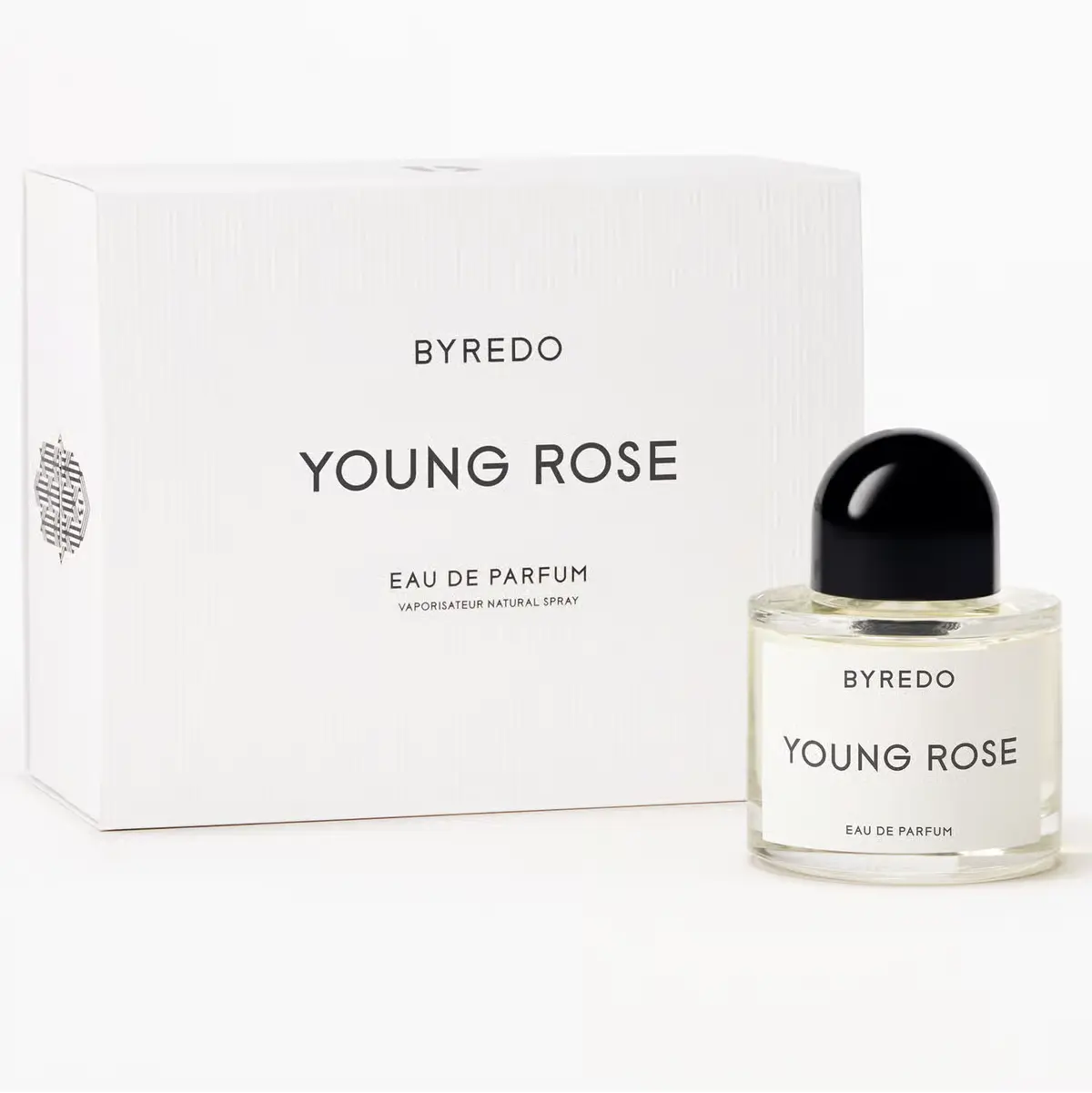 YOUNG ROSE - 10000094_4_no_no.webp