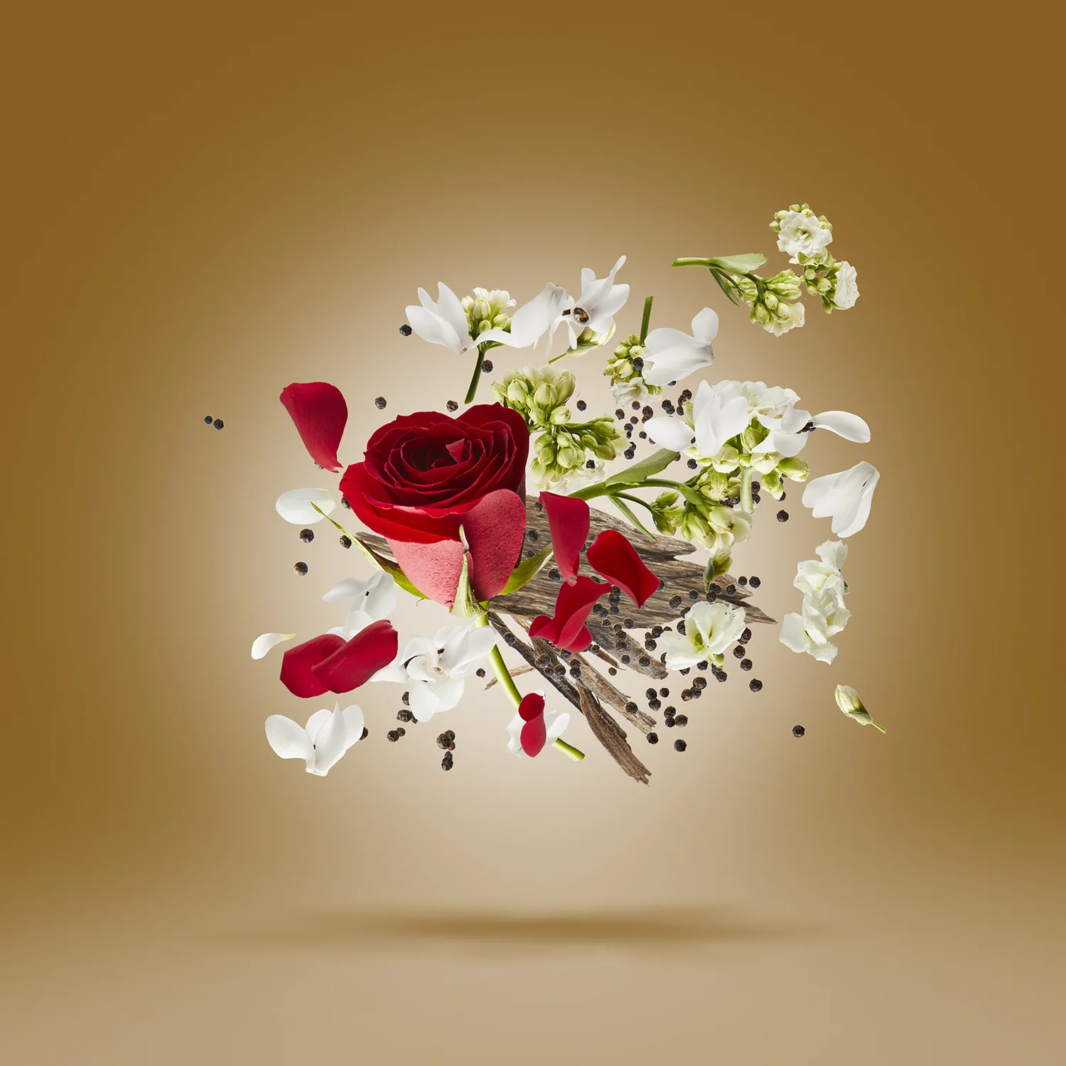 ZAFAR - xerjoff-zafar-notes.webp