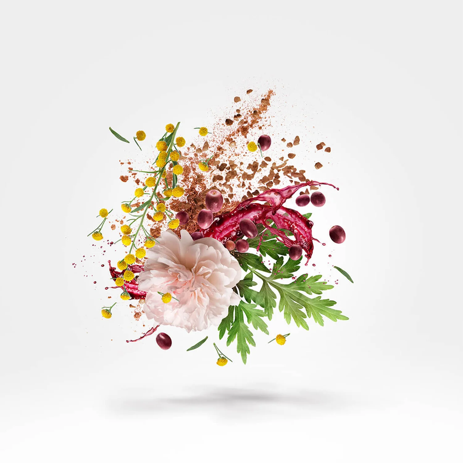 ZEFIRO - xerjoff-zefiro-notes.webp